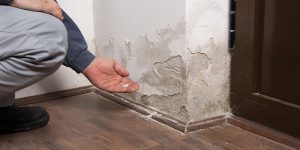 traitement anti-humidité et moisissures à Thèze (64450)