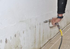 traitement anti-humidité et moisissures à Thèze (64450)